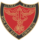 Logo kem 1